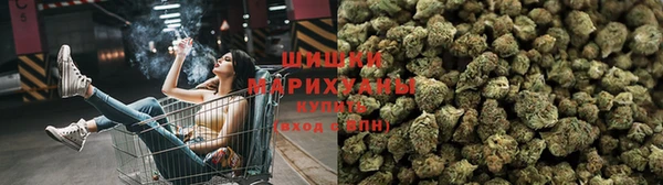 хмурый Абаза