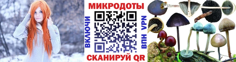 Псилоцибиновые грибы Psilocybine cubensis  наркота  darknet Telegram  Пыталово 